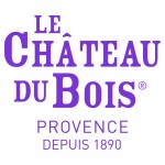 V2 Logo Le Château du Bois P2354